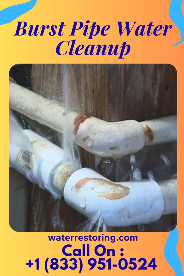 Burst Pipe Water Cleanup in Shippenville, PA