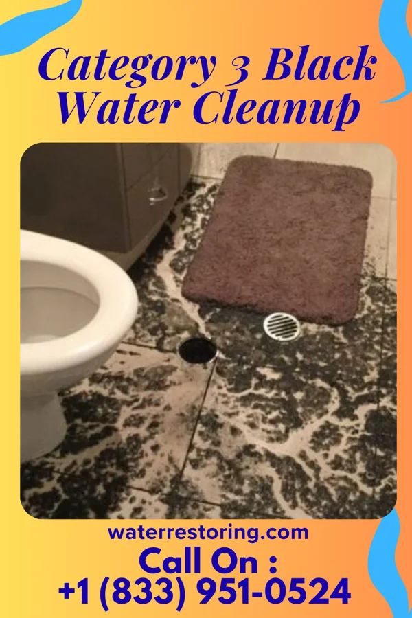 Category 3 Black Water Cleanup in Shippenville, PA
