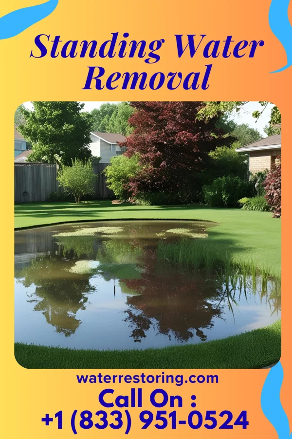 Standing Water Removal in Shippenville, PA